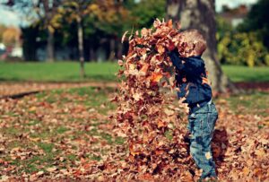 Child playing with fall leaves.